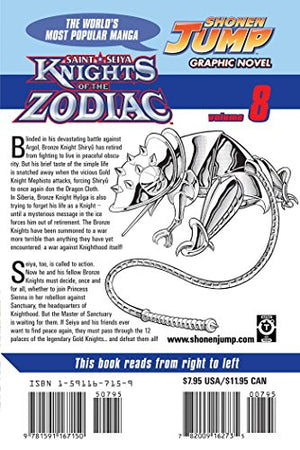 Knights Of The Zodiac (Saint Seiya), Vol. 8: Saint Seiya