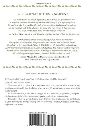 What If This Is Heaven?: How Our Cultural Myths Prevent Us from Experiencing Heaven on Earth,Used