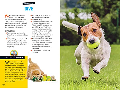 Fetch! A How to Speak Dog Training Guide,Used