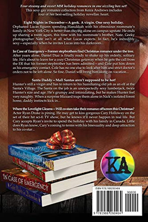 Gay Romance Holiday Collection,Used