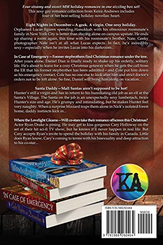 Gay Romance Holiday Collection,Used