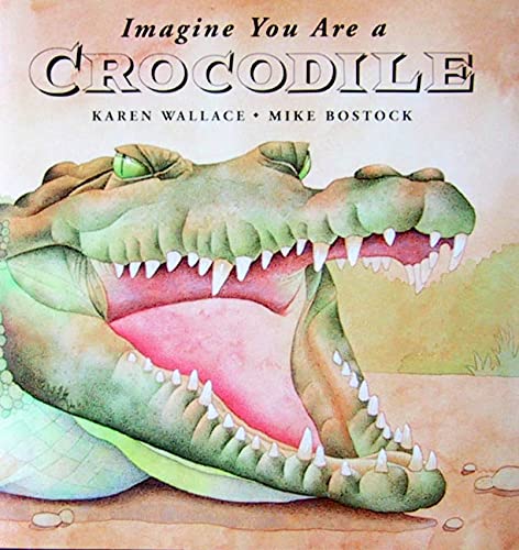 Imagine You Are A Crocodile,Used