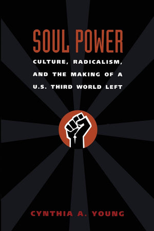 Soul Power: Culture, Radicalism, And The Making Of A U.S. Third World Left,New
