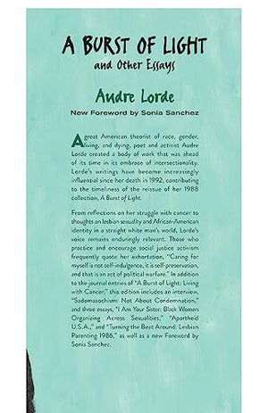 A Burst of Light and Other Essays,New
