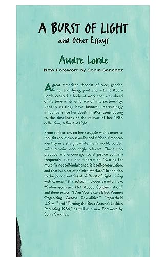A Burst of Light and Other Essays,New