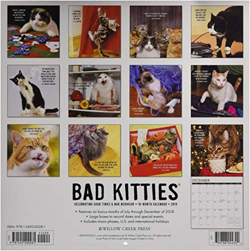 Bad Kitties 2019 Wall Calendar,Used