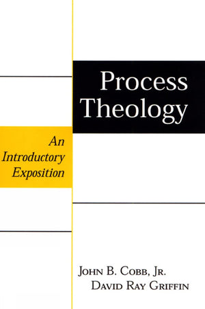 Process Theology: An Introductory Exposition,Used