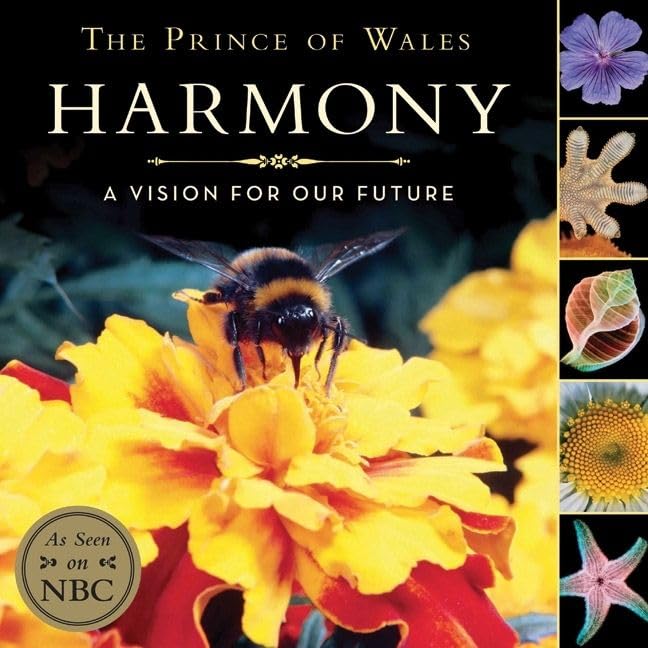 Harmony Childrens Edition: A Vision for Our Future-Used