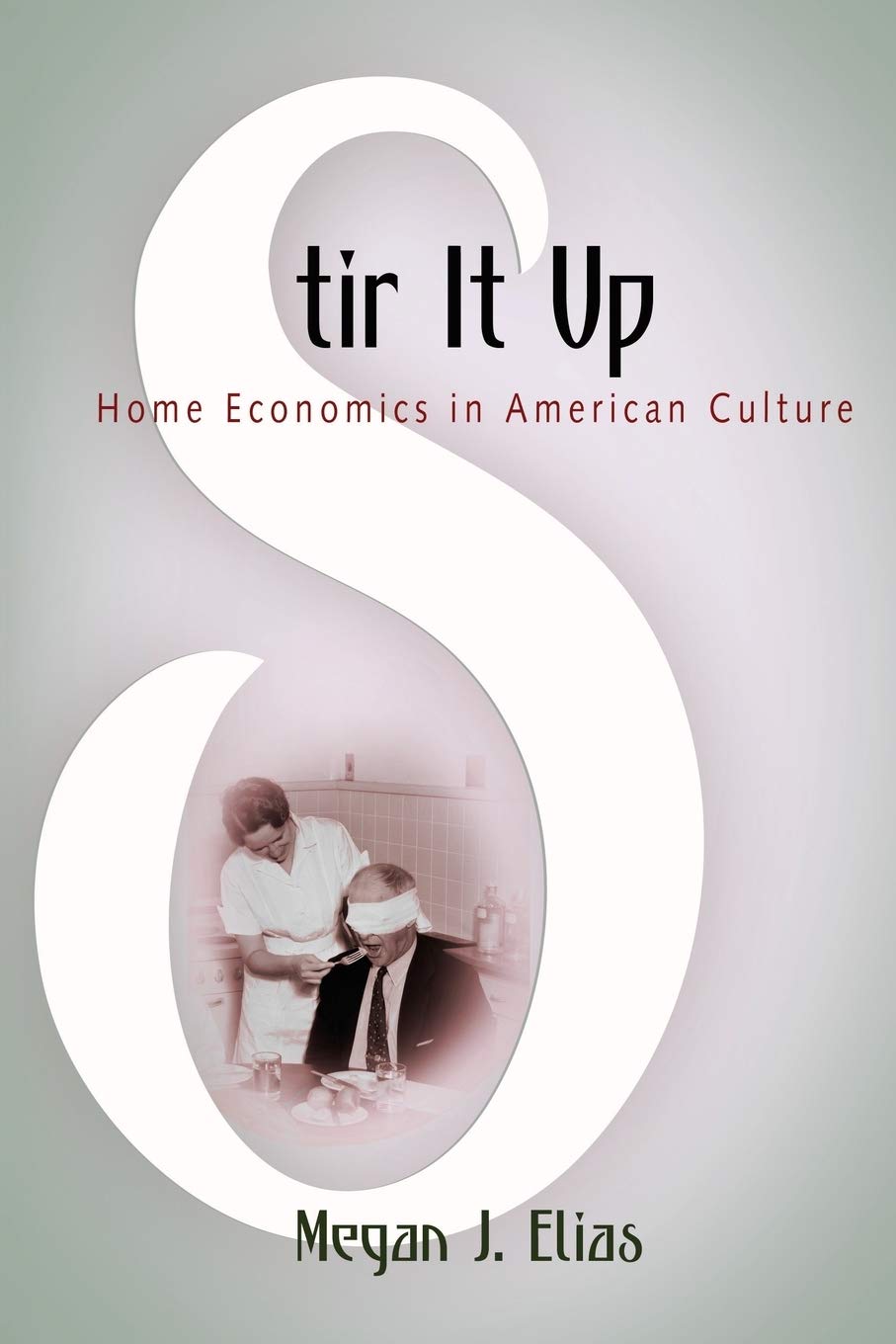 Stir It Up: Home Economics In American Culture,New