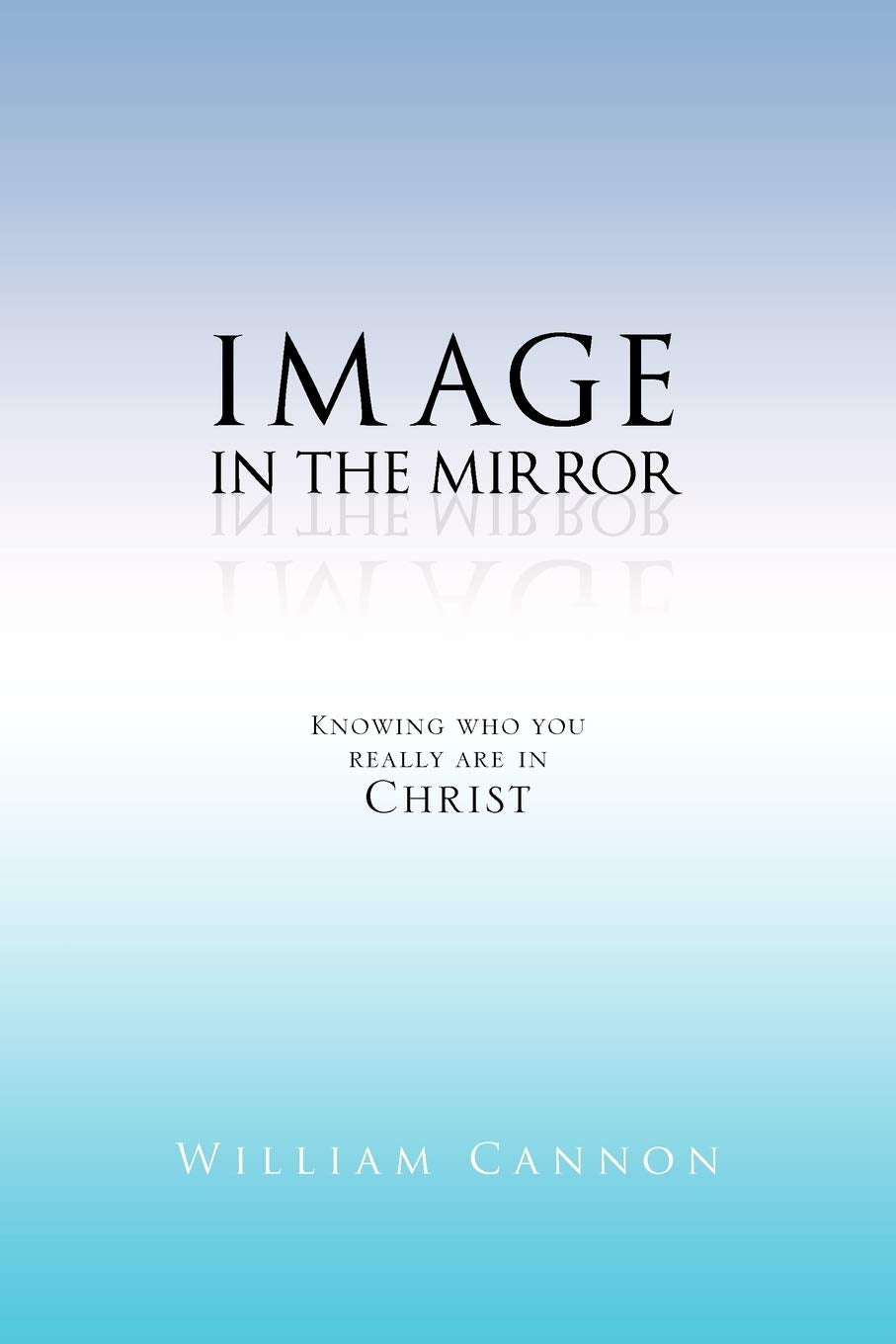 Image in the Mirror,Used
