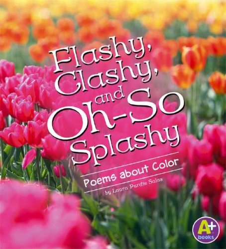 Flashy, Clashy, and OhSo Splashy (A+ Books: Poetry),Used
