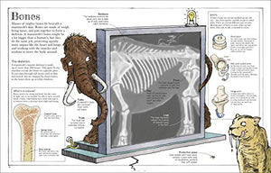 Mammoth Science: The Big Ideas That Explain Our World (DK David Macaulay How Things Work),Used