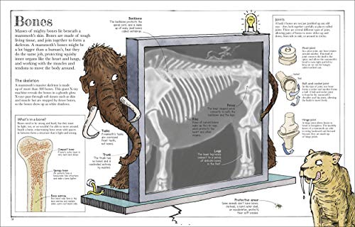 Mammoth Science: The Big Ideas That Explain Our World (Dk David Macaulay How Things Work)