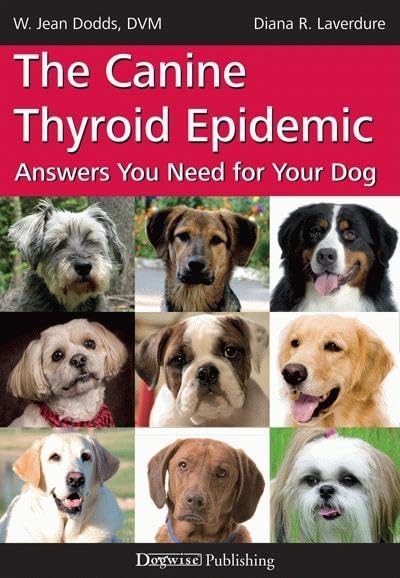 The Canine Thyroid Epidemic: Answers You Need For Your Dog