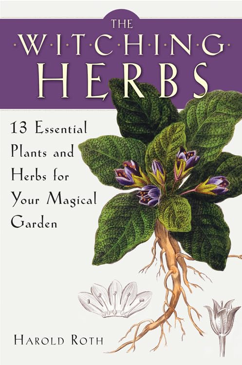 The Witching Herbs: 13 Essential Plants And Herbs For Your Magical Garden