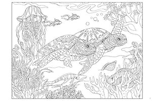 Color Me 2,Used