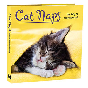 Cat Naps: The Key to Contentment,Used