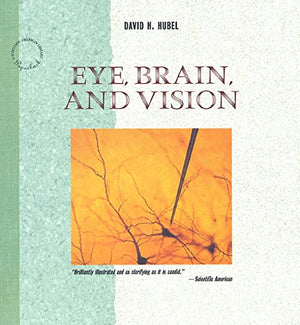 Eye, Brain, and Vision (Scientific American Library),Used