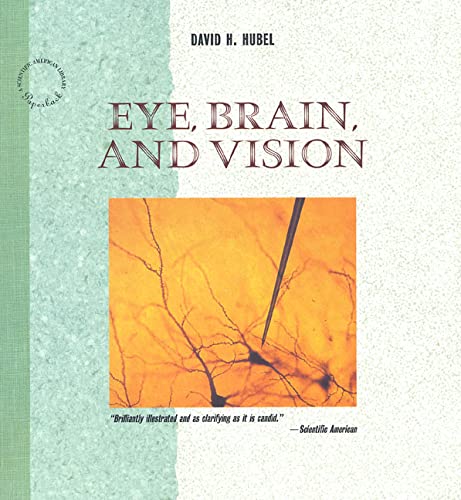 Eye, Brain, and Vision (Scientific American Library),Used