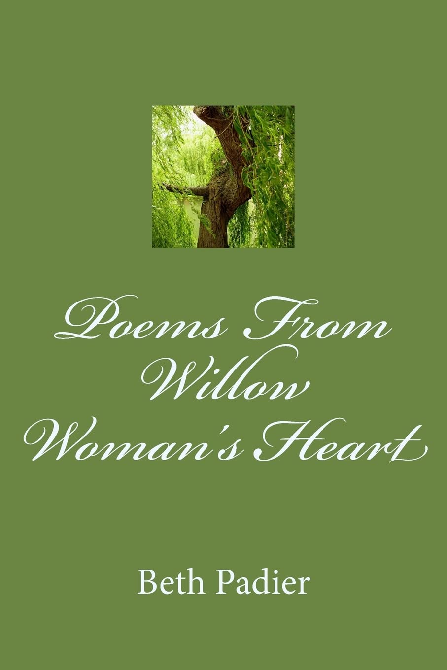 Poems From Willow Woman'S Heart,Used