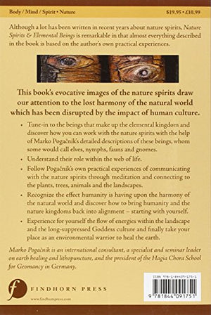 Nature Spirits & Elemental Beings: Working with the Intelligence in Nature,Used