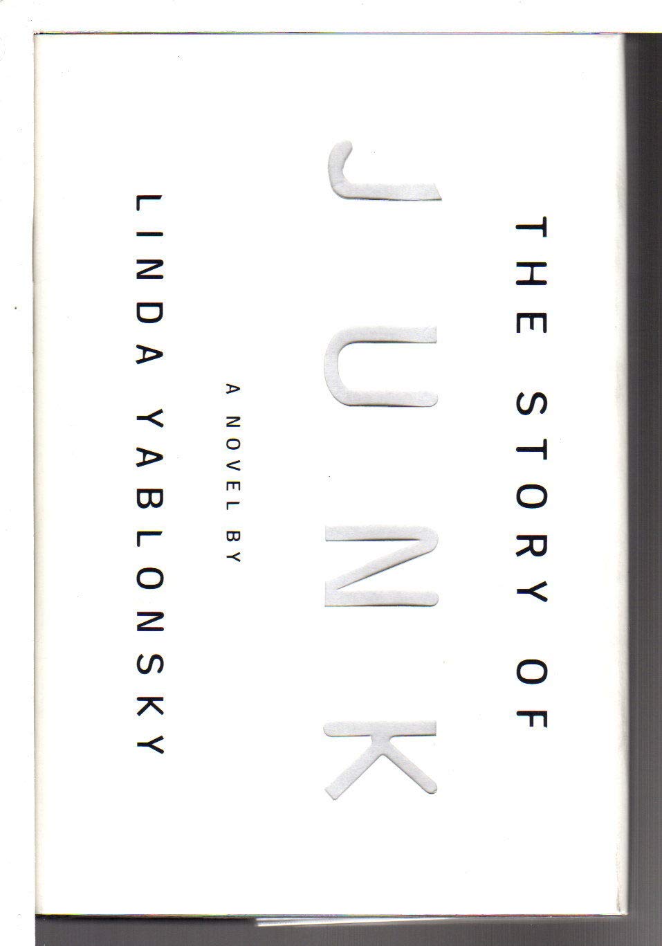 The Story Of Junk: A Novel