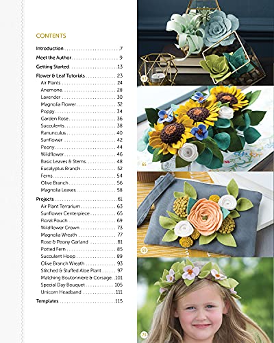 Felt Flower Workshop: A Modern Guide to Crafting Gorgeous Plants & Flowers from Fabric,Used