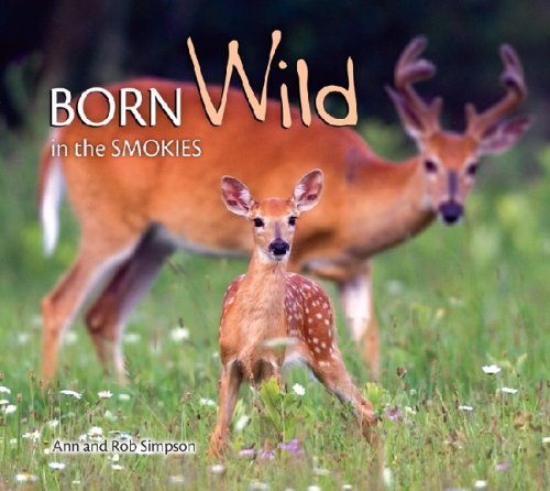 Born Wild in the Smokies,Used