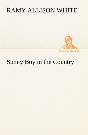Sunny Boy in the Country,Used