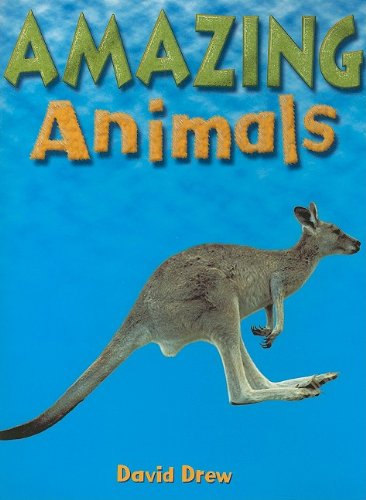 Literacy: Student Reader Grade 1 Amazing Animals,Used