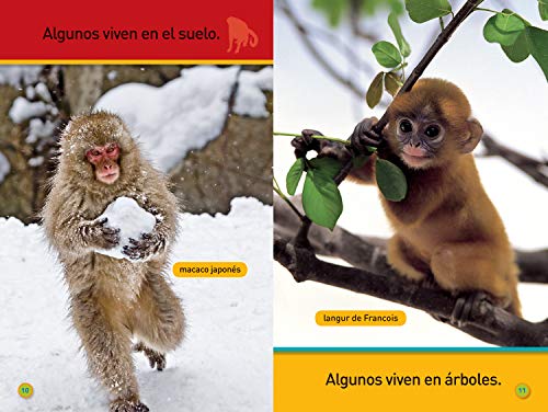 National Geographic Readers: Agrrate, Mono! (Prereader)Spanish Edition,Used