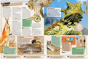 Guinness World Records 2020,New