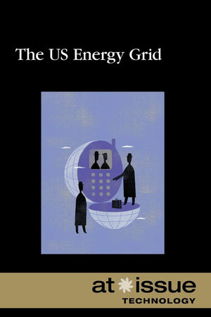 The U.S. Energy Grid (At Issue),Used
