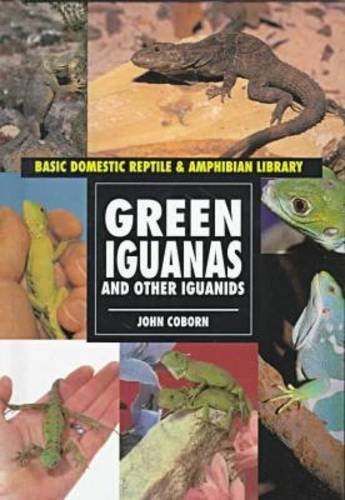 Green Iguanas: And Other Iguanids (Basic Domestic Reptile & Amphibian Library),Used