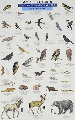 Mac's Field Guide To Olympic National Park: Land Animals / Marine Life,Used