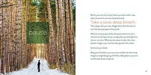 Forest Bathing Retreat: Find Wholeness In The Company Of Trees