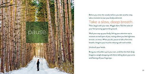 Forest Bathing Retreat: Find Wholeness In The Company Of Trees