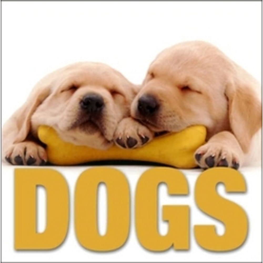 Dogs (CubeBook),Used