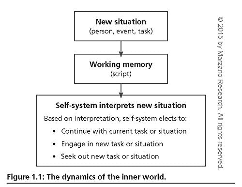 Managing the Inner World of Teaching: Emotions, Interpretations, and Actions (Classroom Strategies),Used