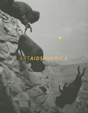 Art AIDS America,Used