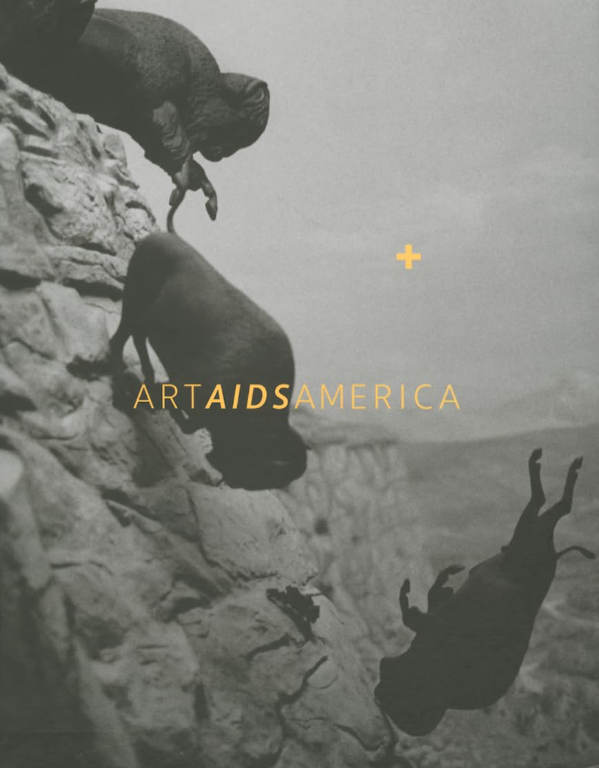 Art AIDS America,Used