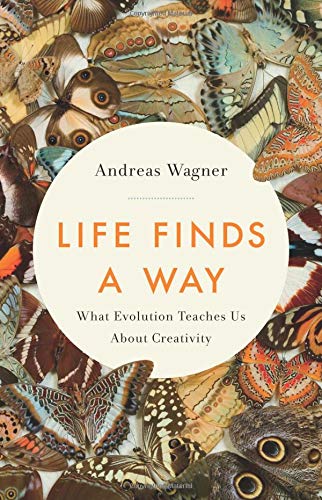 Life Finds A Way: What Evolution Teaches Us About Creativity