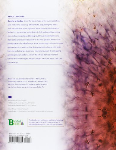 Looseleaf Version for Molecular Cell Biology,Used