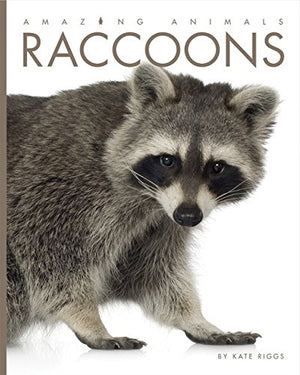 Amazing Animals: Raccoons