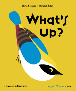What's Up? (Flip Flap PopUp),Used