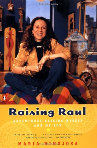 Raising Raul: Adventures Raising Myself and My Son,Used