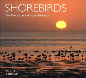 Shorebirds,Used