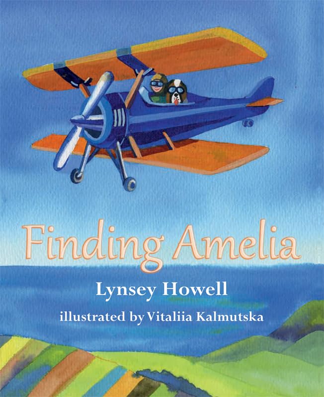 Finding Amelia,Used