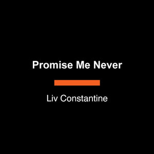 Promise Me Never: A Novel