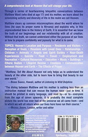 Matthew, Tell Me About Heaven: A Firsthand Description Of The Afterlife,New